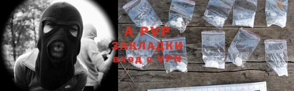 прущие грибы Абаза