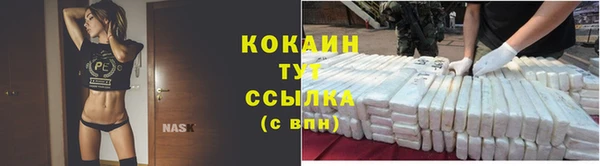 мет Инта