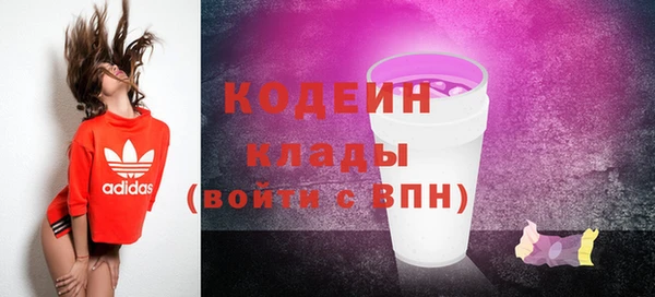 гашик Инсар
