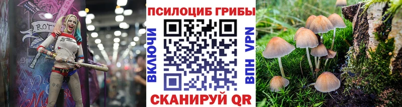 что такое наркотик  Игарка  Псилоцибиновые грибы Psilocybine cubensis 