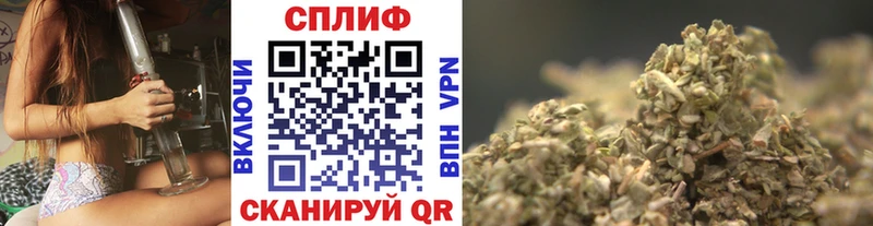 как найти   Игарка  Бошки Шишки индика 